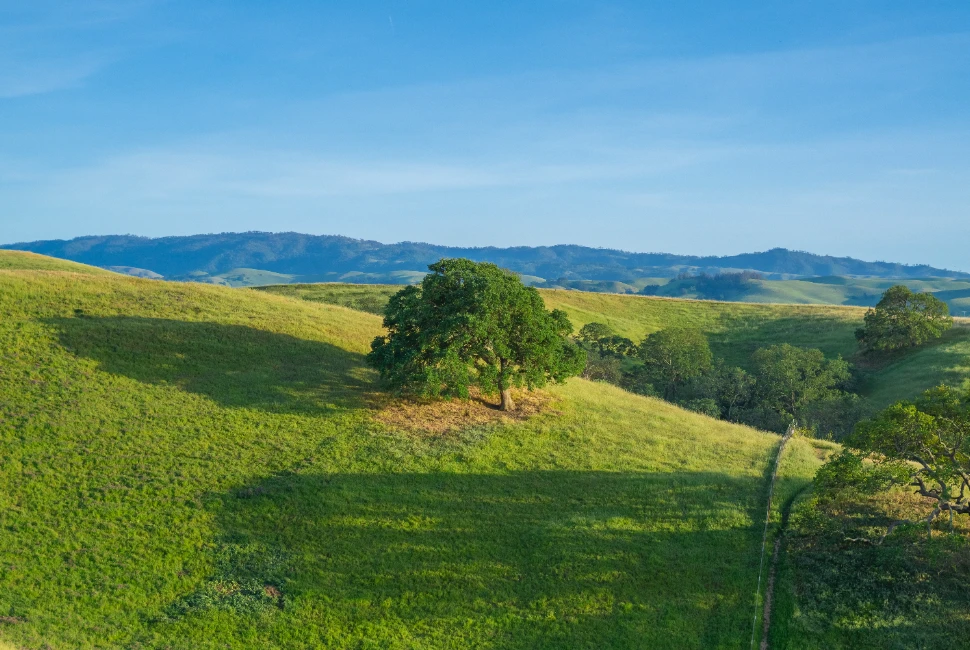 Unveiling Livermore's Hidden Gems: Attractions and Activities